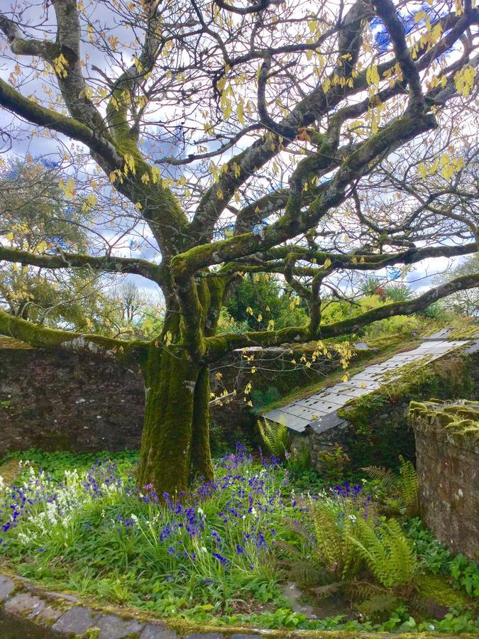 Willowhill House Minane Bridge Exterior foto